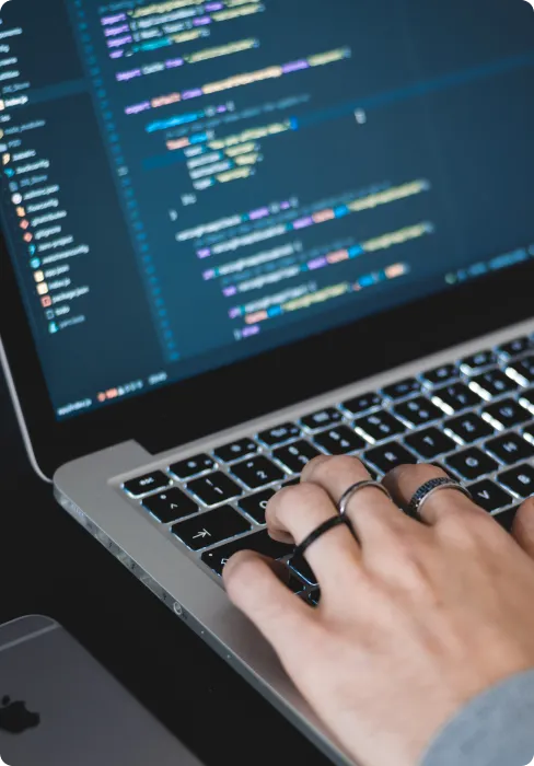 Screen with VUE.JS code