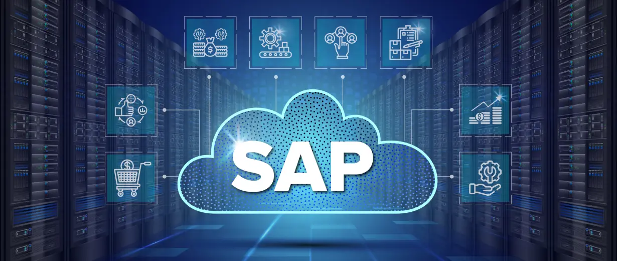 SAP Cloud Private vs Public edition