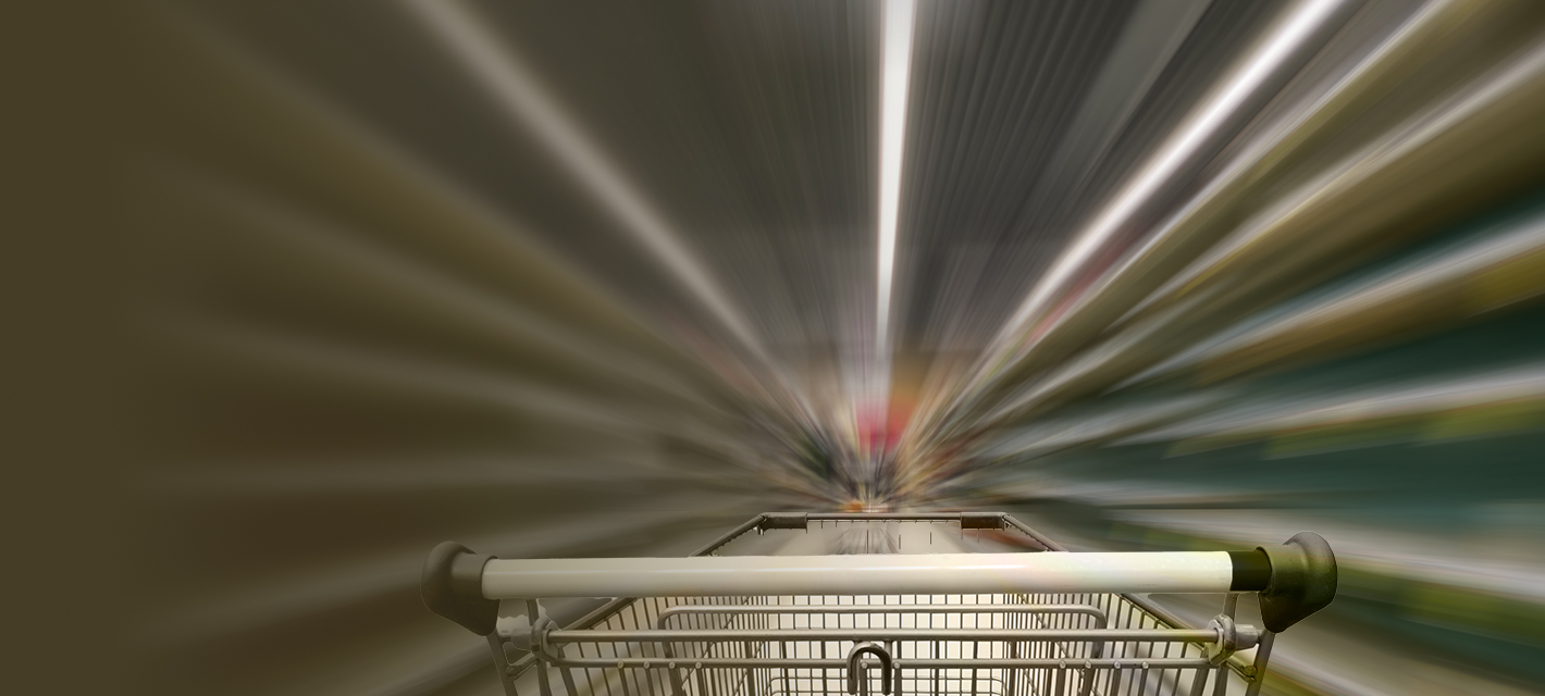 Ecommerce Development