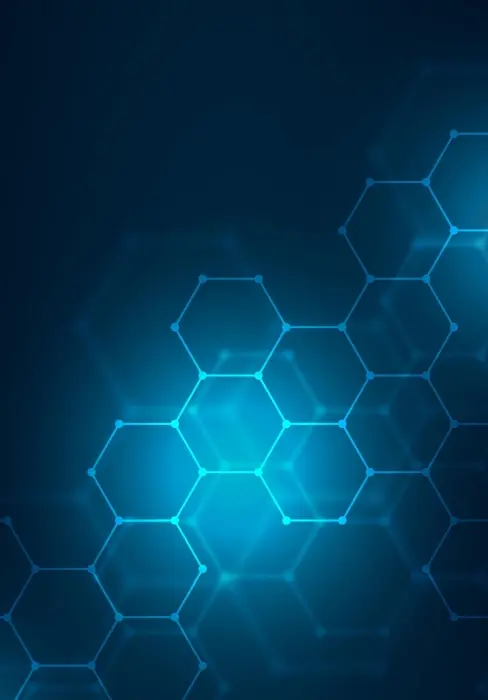 Software Testing Services