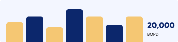 description_of_image