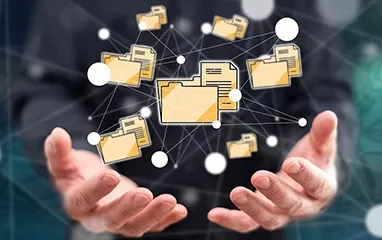 Data Democratization