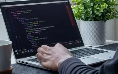 ReactJS development