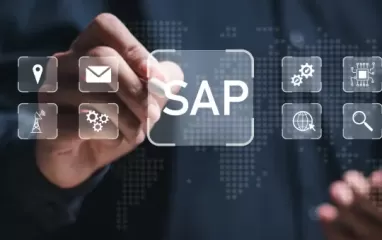 SAP clean core audit