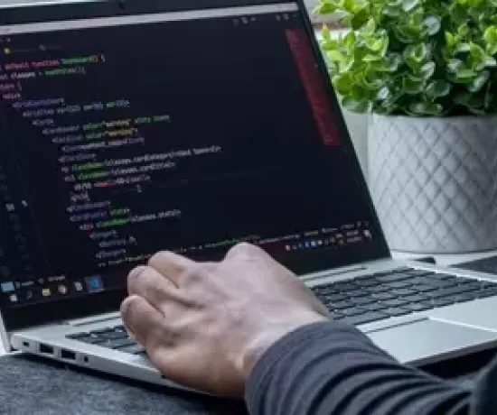 ReactJS development
