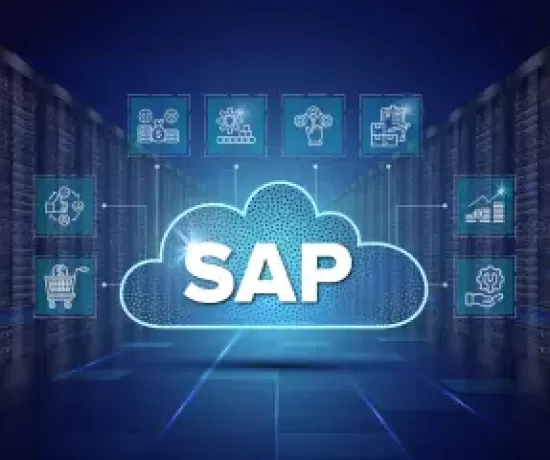 SAP Cloud Private vs Public