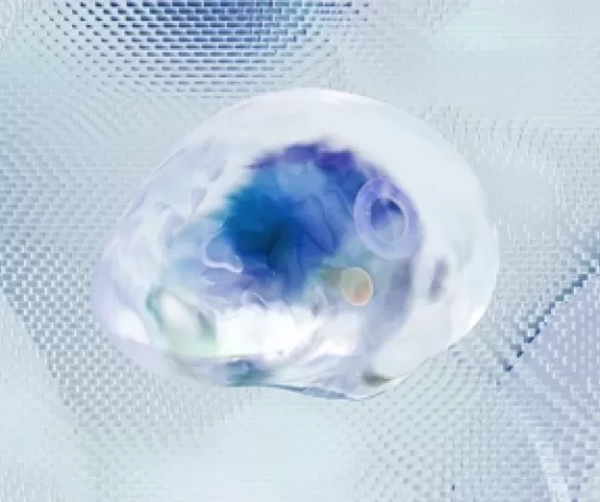 Digital Transformation in Healthcare